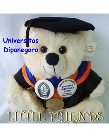 Boneka Wisuda Universitas Diponegoro - Keperawatan (25 cm)